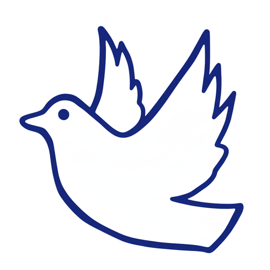 Ikarus Agency Project